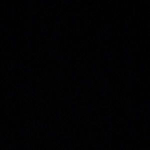 Meet your Posher, Taniya